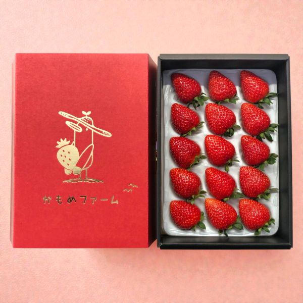 【着日指定不可】かもめファームの「よつぼし」 約400g