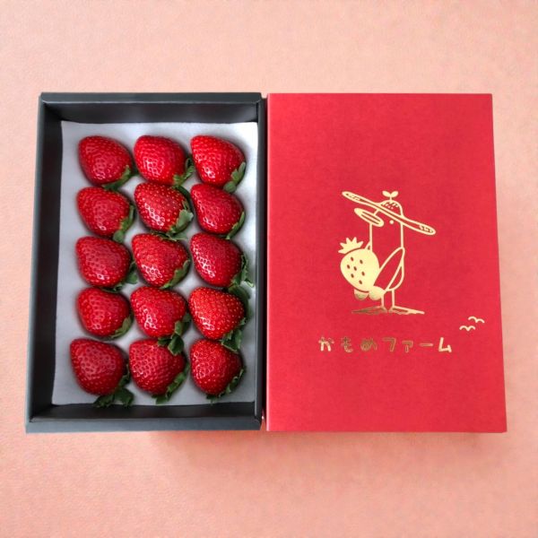 【着日指定不可】かもめファームの「晴苺」 約400g