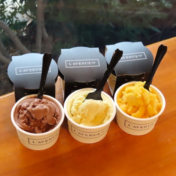 L’AVENUE アイス＆シャーベット 6個入り