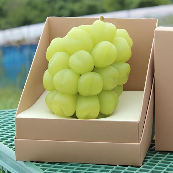 【事前ご予約】【着日指定不可】岡山県産 雄宝 1房(約900g)