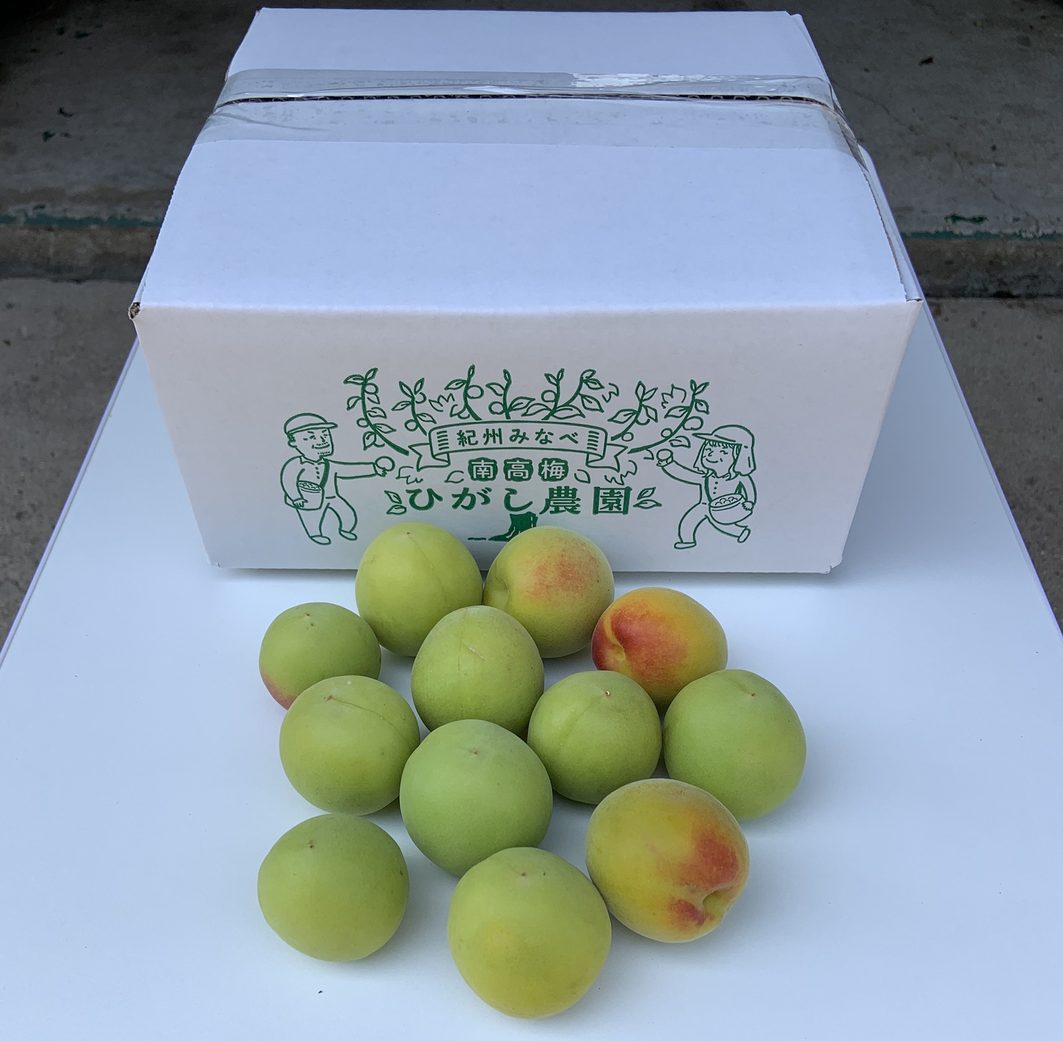 【事前ご予約】紀州南高梅 青梅 2kg