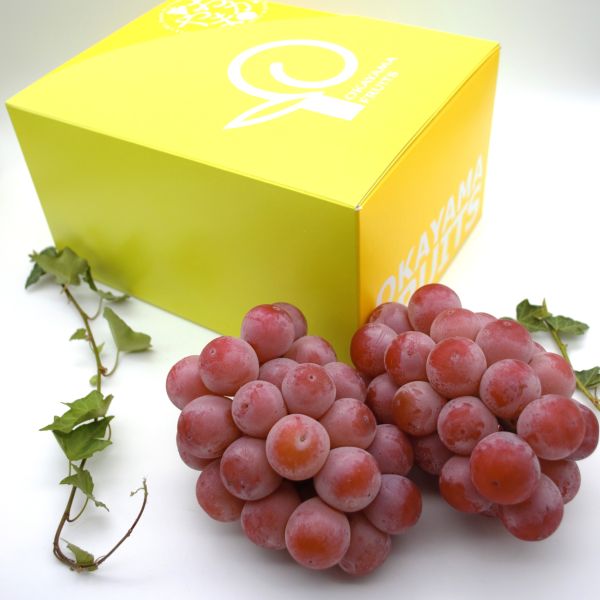 ご家庭用クイーンニーナ 約1.2kg（2～3房）