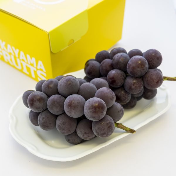 ご家庭用ニューピオーネ 約1.2kg（2～3房）