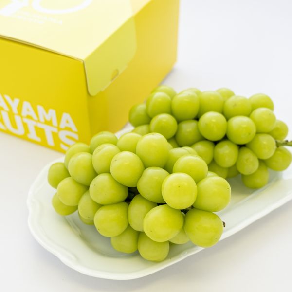 ご家庭用シャインマスカット 約1.2kg（2～3房）