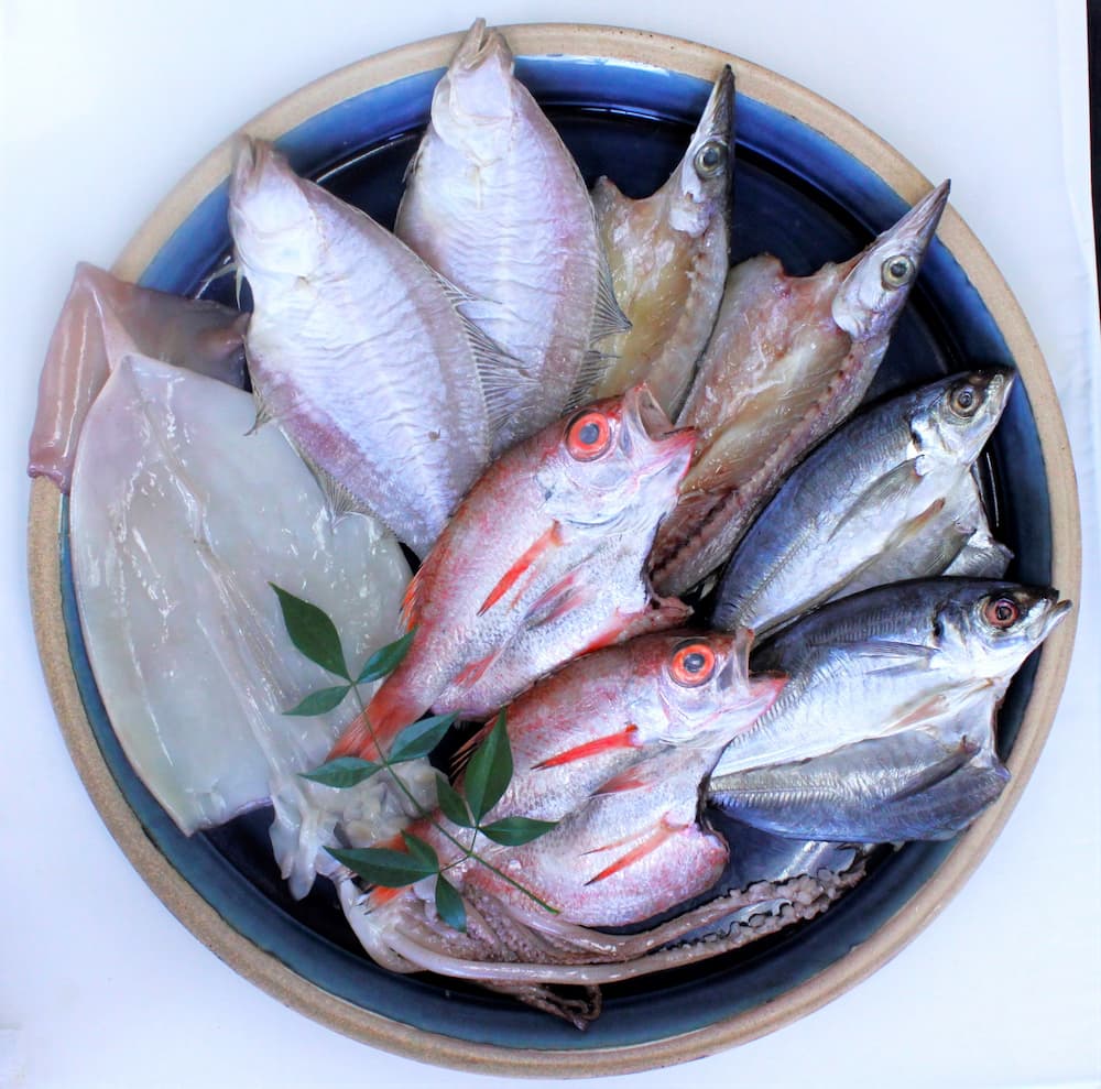 出雲干し 干物セット(5種9枚)