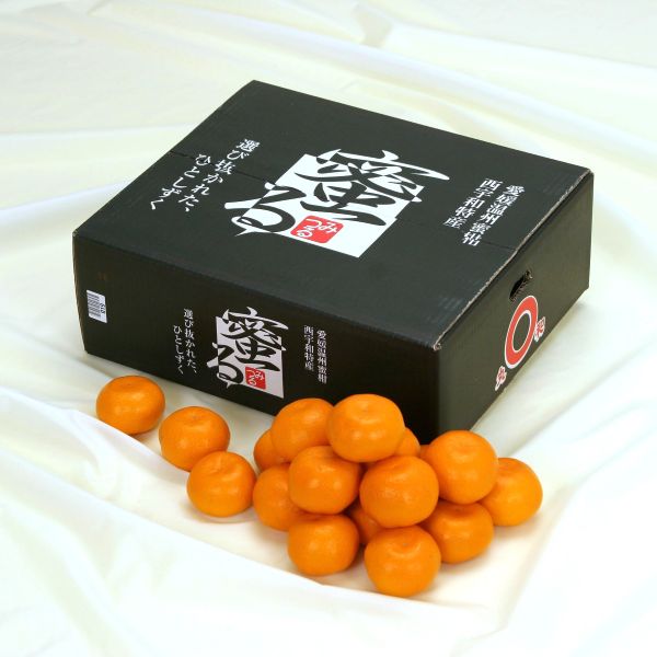 【事前ご予約】【着日指定不可】愛媛県産　蜜るみかん 4kg