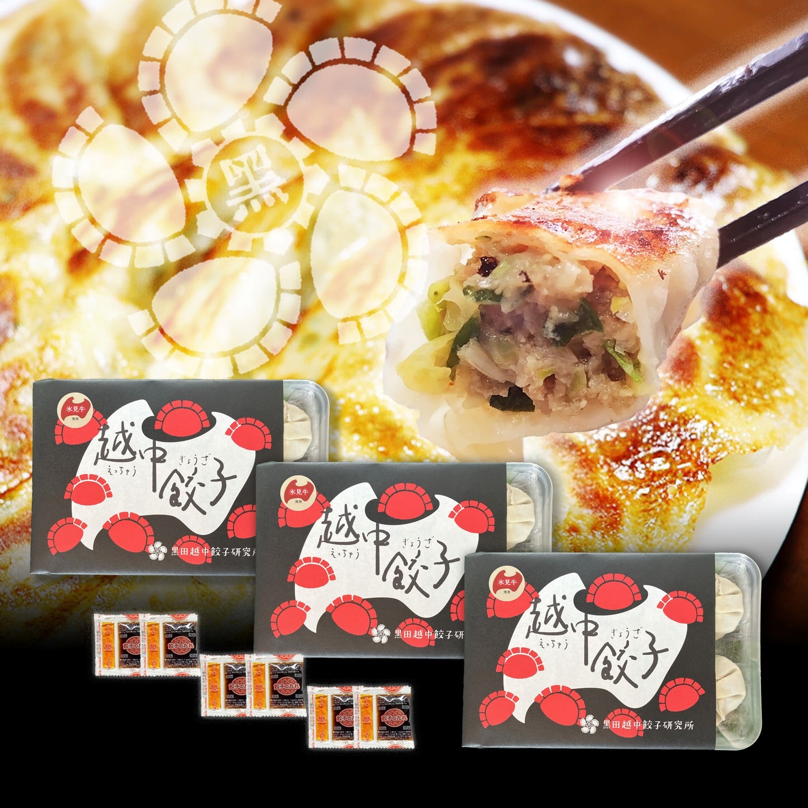 氷見牛使用越中餃子3パックセット 48個