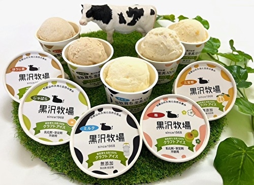 ｼﾞｪﾗｰﾄ・ｱｲｽ　５種のｸﾗﾌﾄｱｲｽ８個セット