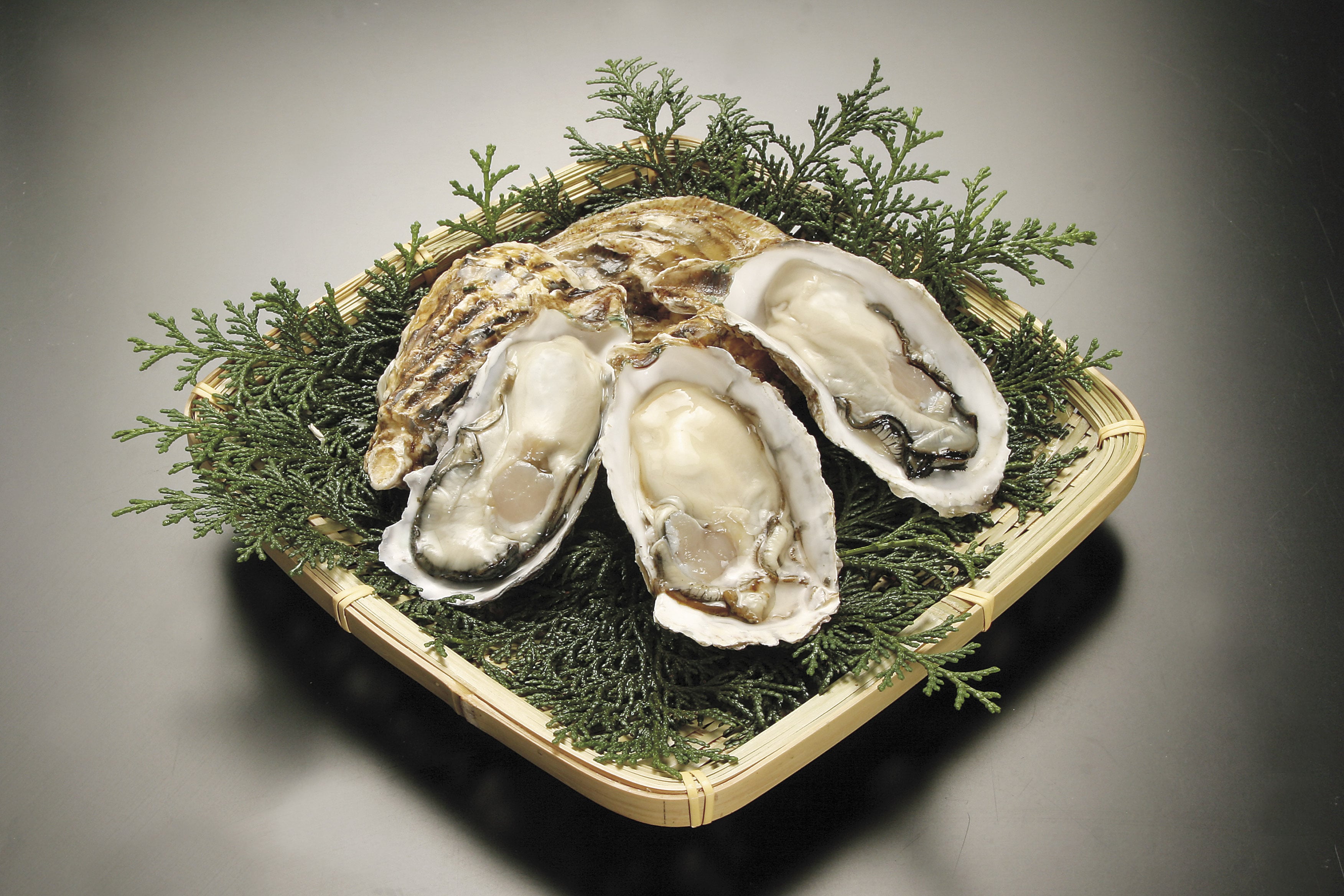 【福岡県北九州市産】 「豊前海一粒かき」 2kg(加熱用)