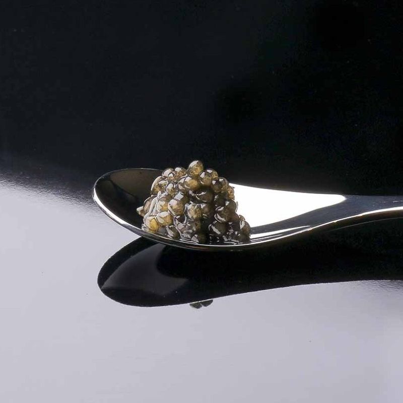 和歌山県産 近大キャビア 10g