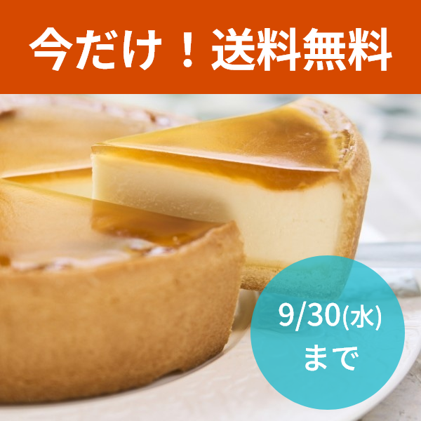 【送料無料】【冷凍】デリチュース チーズケーキ 12cm冷凍・保冷バッグ小セット
