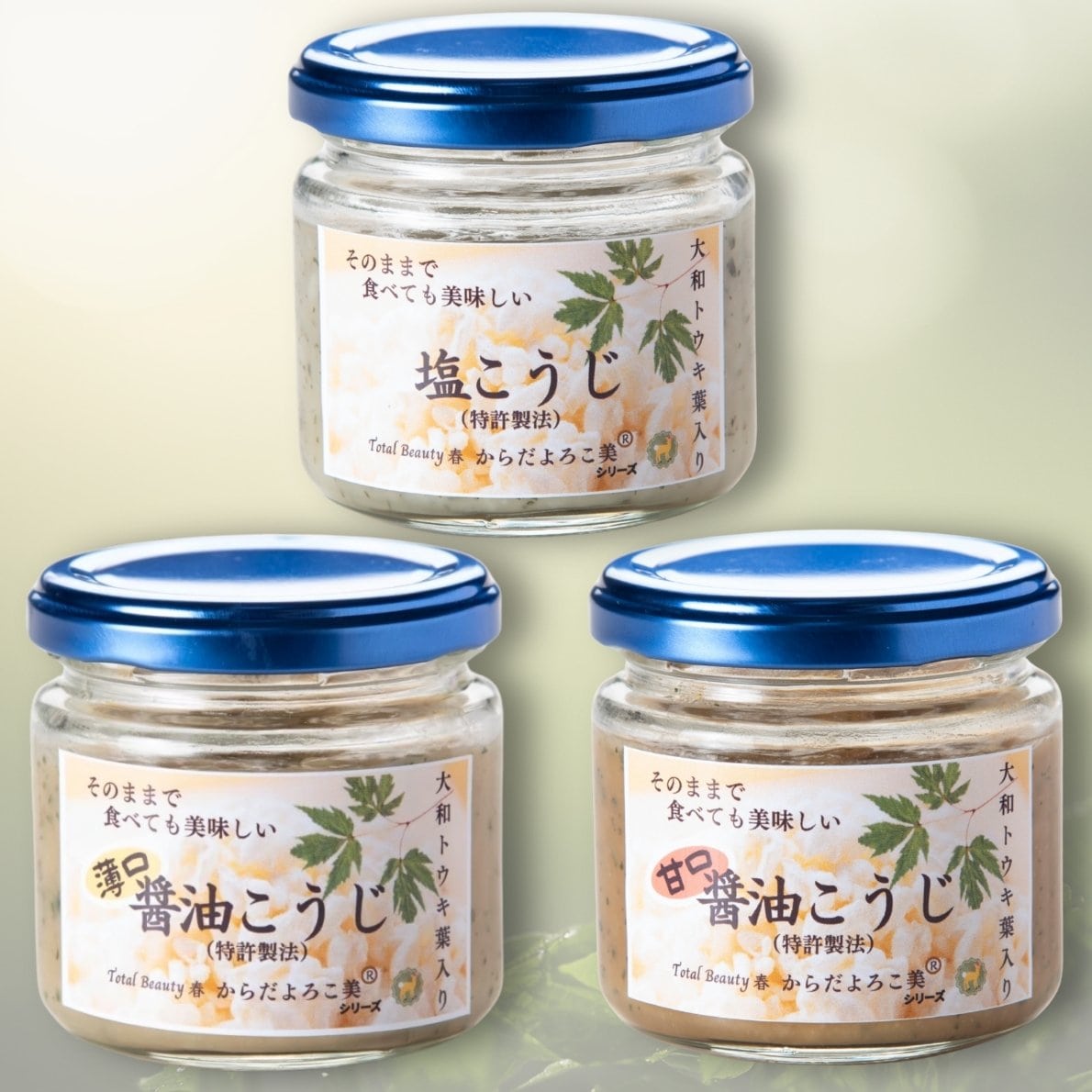 調味料 大和トウキ葉入り麹3種セット 120g×3瓶