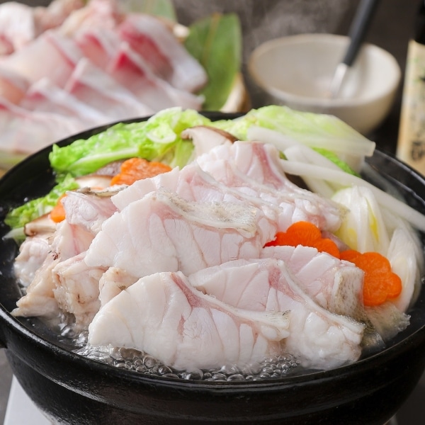 【予約受付】近大発・未来の魚「近大クエタマ」鍋セット1kg
