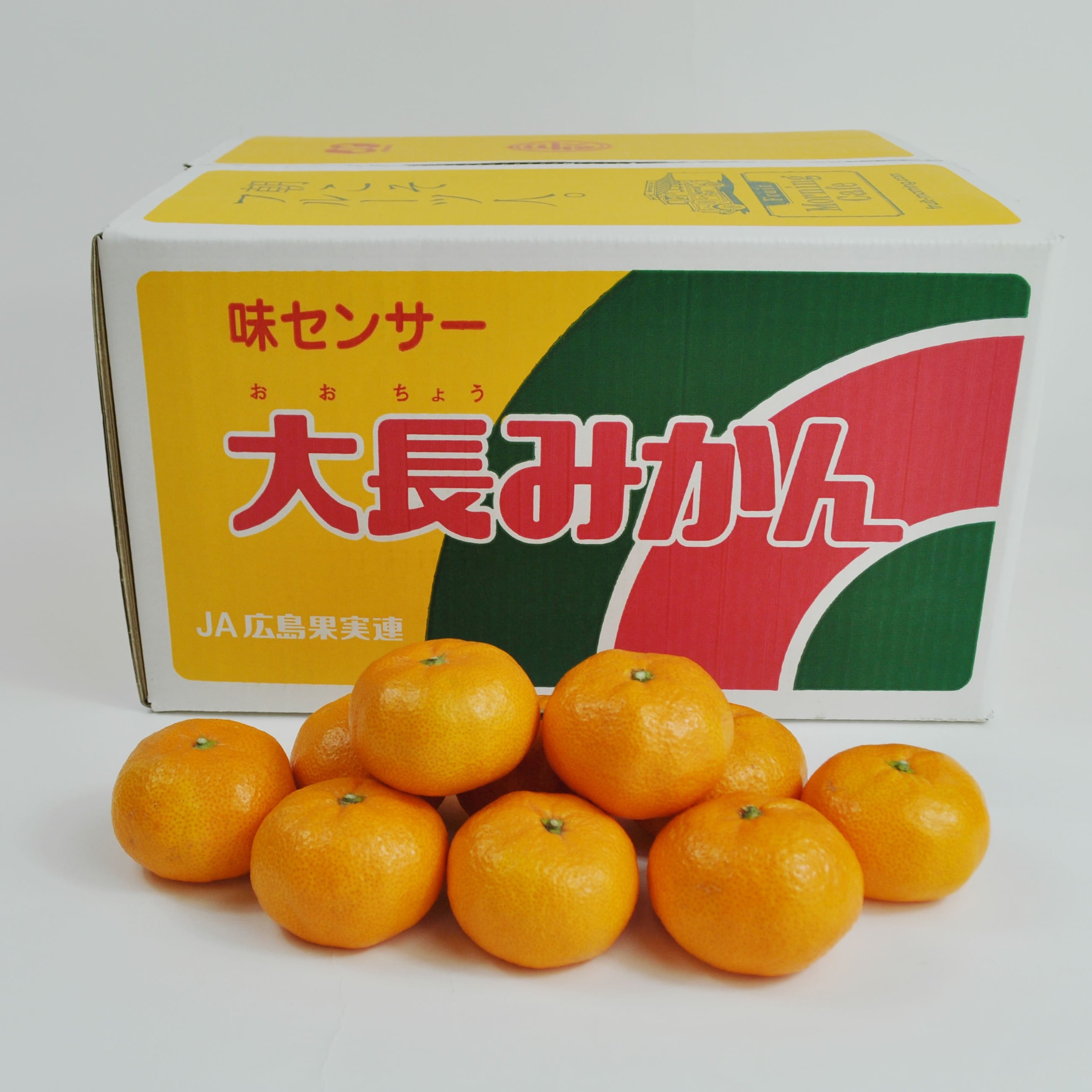 【着日指定不可】広島県産　大長みかん　5kg