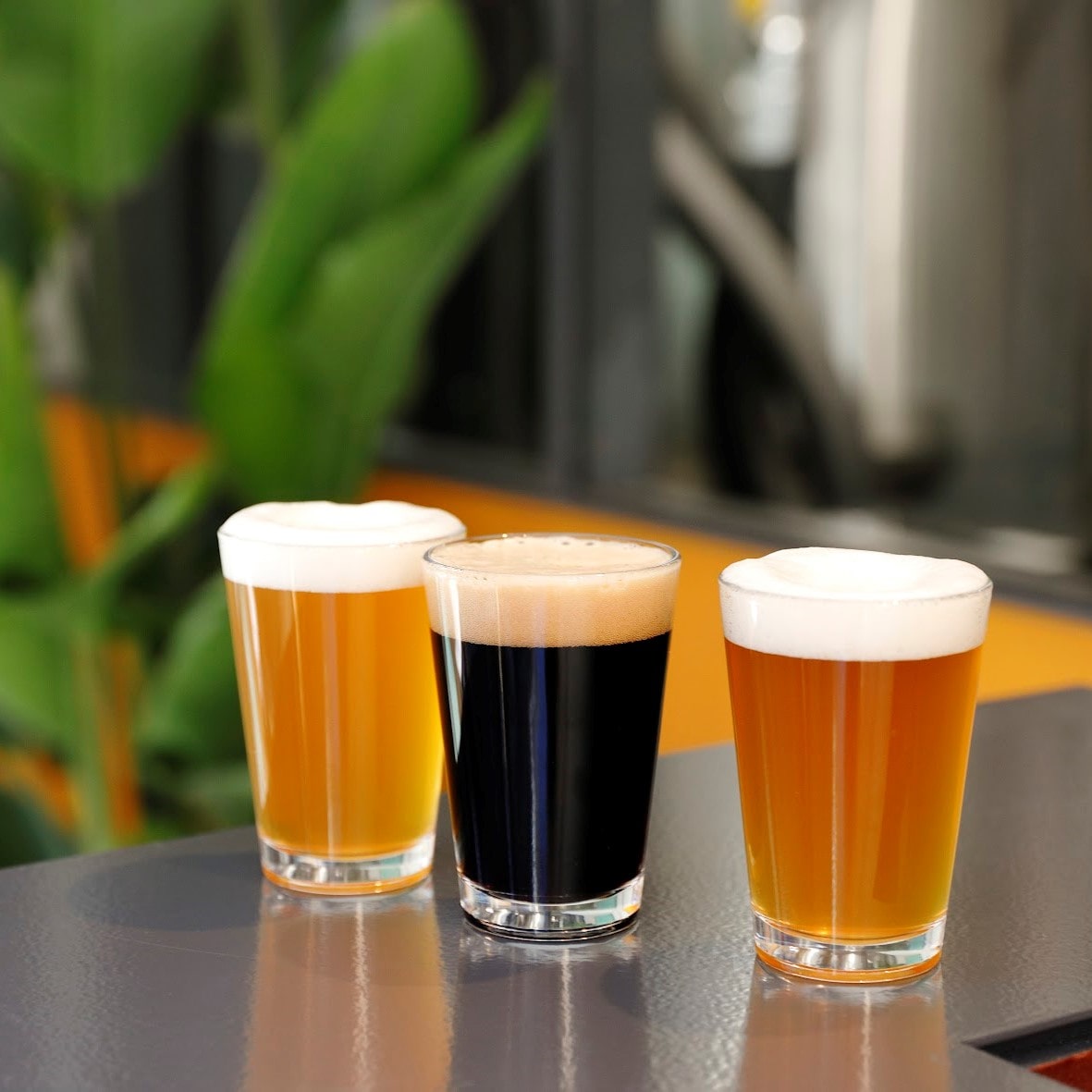 クラフトビール 山わらうエール 330ml×3本、山ねむるエール 330ml×3本