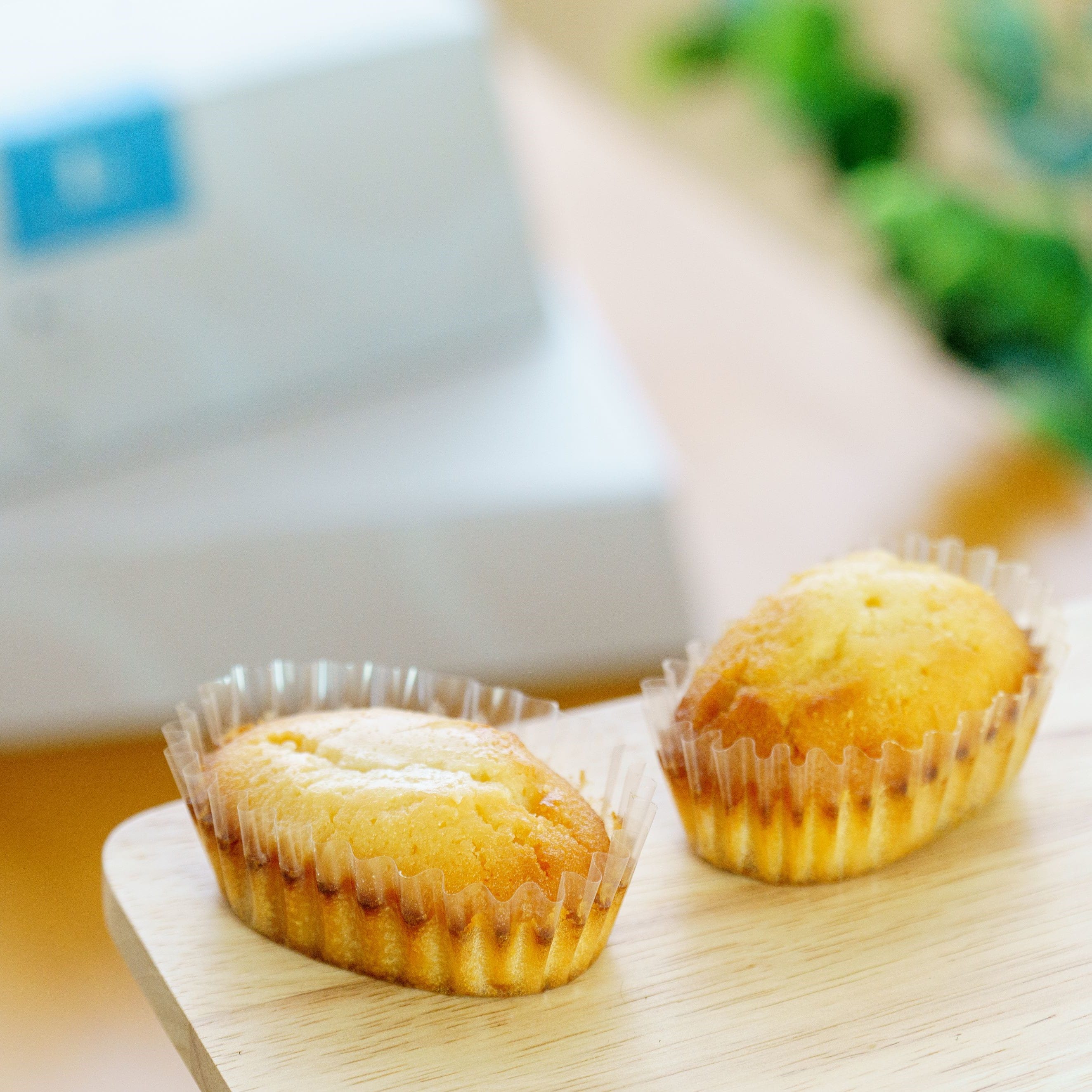 無垢　酒粕フィナンシェ 5個