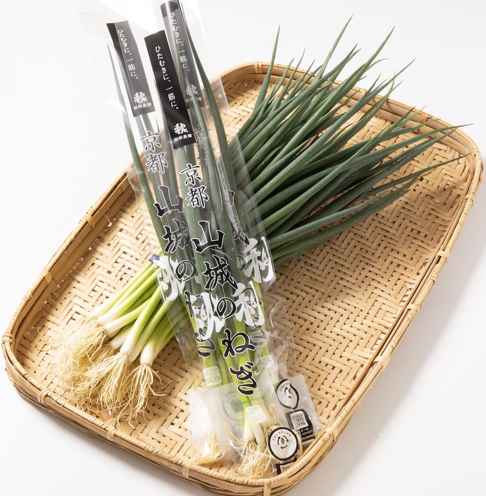 山城のねぎ2kg　1kg×2束