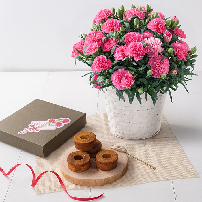 母の日ギフト カーネーション&焦がしキャラメルがしみ込んだバーム4個 ※着日指定不可商品【お届け日:5月6日~10日】