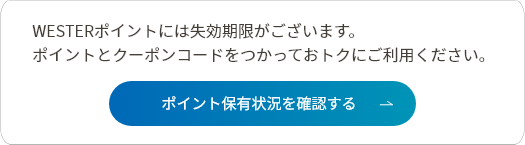 ポイント保有状況を確認する