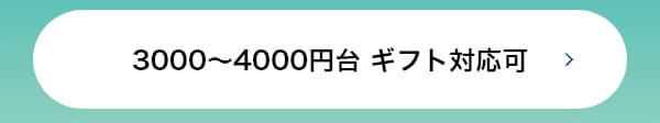 3000～4000円台 ギフト対応可