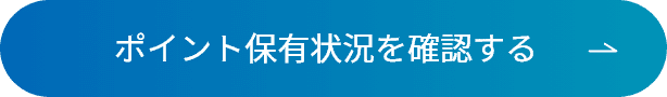 ポイント保有状況を確認する