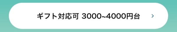 ギフト対応可 3000~4000円台