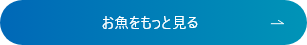お魚をもっと見る
