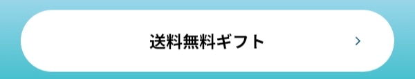 送料無料 ギフト