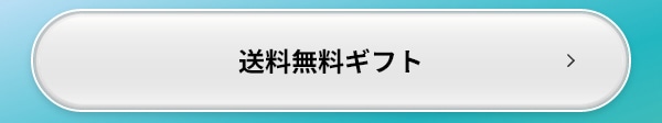 送料無料 ギフト