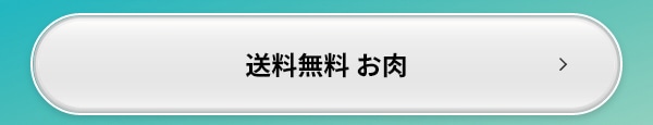送料無料 お肉