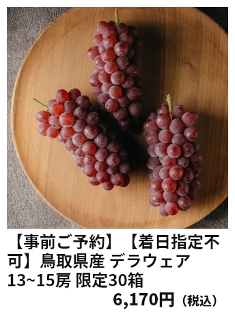 鳥取県産 デラウェア 13~15房 限定30箱 6,170円（税込）