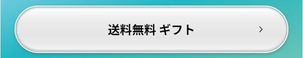送料無料 ギフト