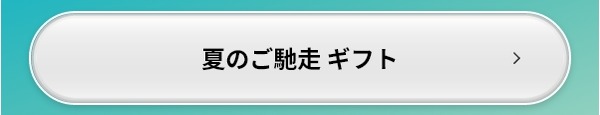夏のご馳走 ギフト
