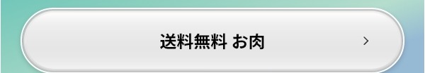 送料無料 お肉