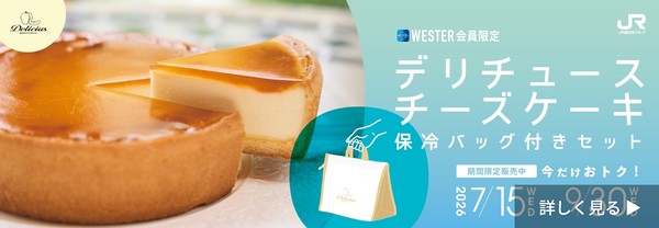 デリチュースチーズケーキ 保冷バッグ付きセット