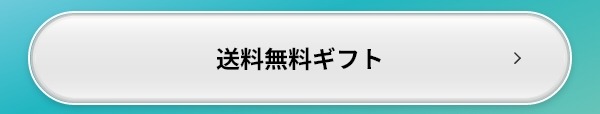 送料無料 ギフト