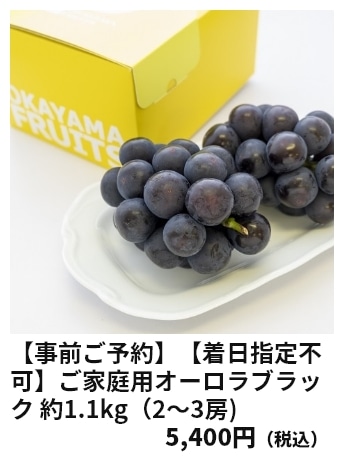 【事前ご予約】【着日指定不可】ご家庭用オーロラブラック 約1.1kg（2～3房) 5,400円（税込）