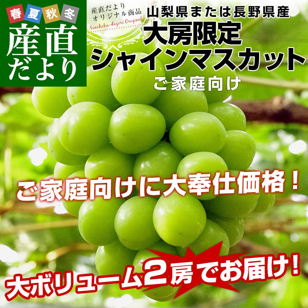 【送料無料】大房シャインマスカット ご家庭向け・赤秀品 1.1キロから1.2キロ前後（2房） 3,980円（税込）