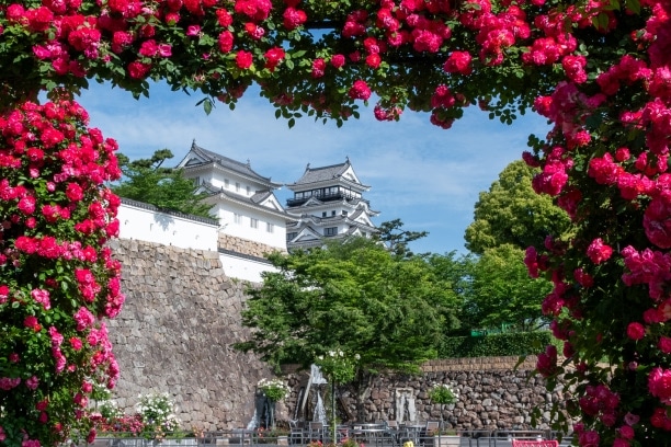 風光明媚な日本遺産・鞆の浦を擁し、ばらに彩られる瀬戸内の城下町