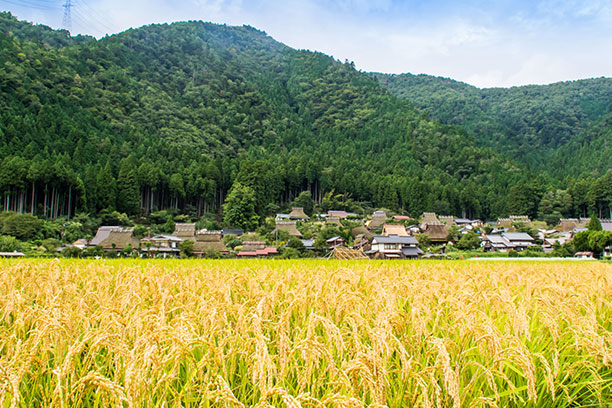 豊かな緑と人々の営みが息づく里山へ。今こそ、日本の原風景に出会う旅