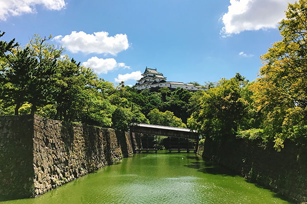 城と海と祈りと　いにしえより人々を　魅了してやまない紀の国の顔