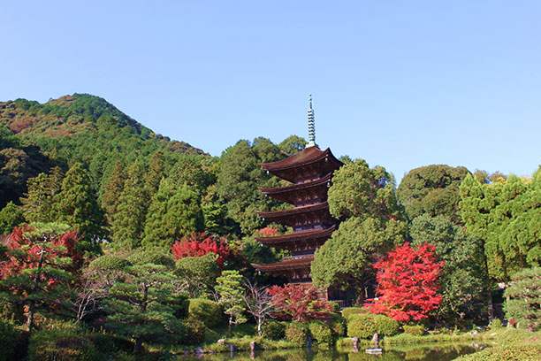 室町、幕末、近代まで。歴代の情熱家が愛した西の京