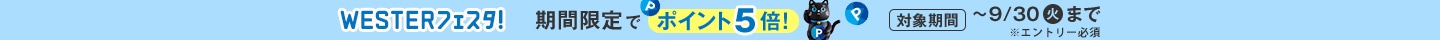 WESTERフェスタ