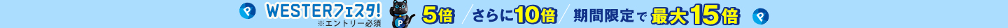 WESTERフェスタさらに5倍