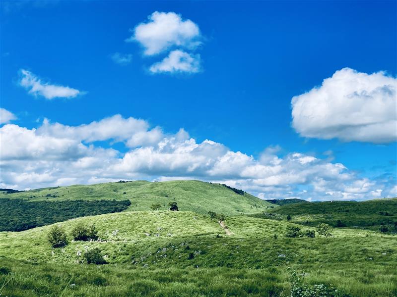 山口県美祢市発。新しいおみやげが誕生！