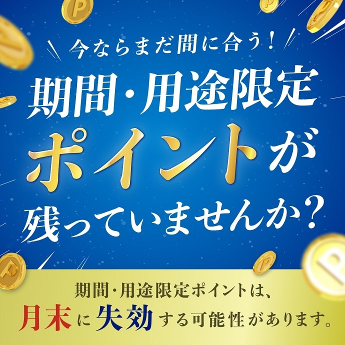 期間・用途限定ポイント